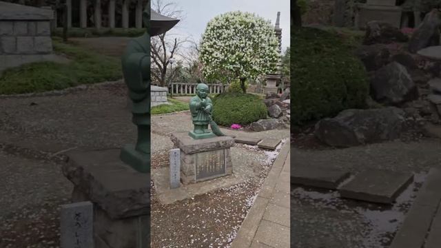 Сакура во дворе храма с привидениями.... смотреть онлайн