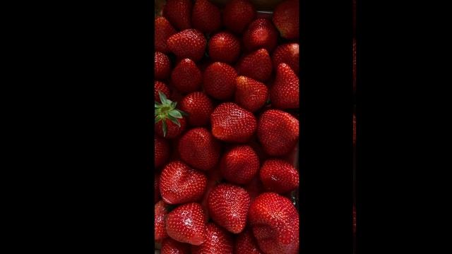 Красные тюльпаны Музыка, исп: Алексей Вечеров Стихи: Владимир Курочкин Видеоряд: Елизавета Рогове смотреть онлайн