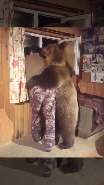 Медведь и мужик смотрят в окно. смотреть онлайн