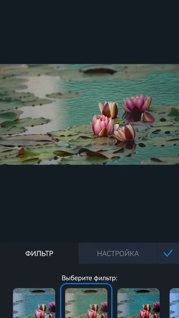 Movavi Clips - Фильтры (демо видео)