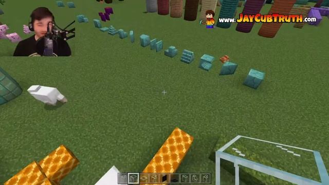 4,421 NEW BLOCKS! Blockz+ | Free Minecraft Bedrock Add-on / Mod! (How To Use 1.20) LIVE STREAM #2 смотреть онлайн