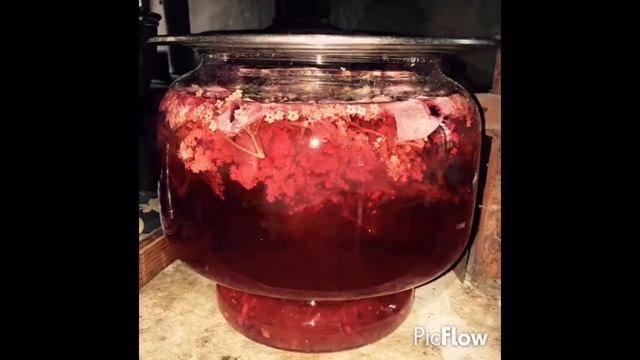 Elderflower Lemonade смотреть онлайн