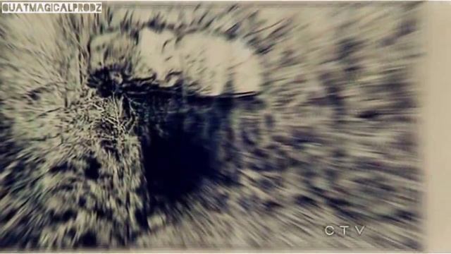 Once Upon A Time - Fightest Girl Award смотреть онлайн