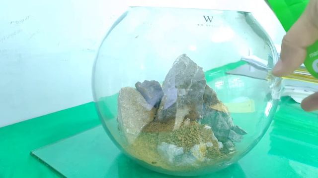 Aquascape Low Tech Modal 200 ribu| El Natural-Diana Walstad|Vlog#77 смотреть онлайн