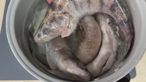 КАК ВКУСНО ПОЖАРИТЬ с корочкой хрустящей судак🐟🐟 видео рецепт асмр