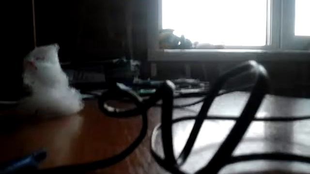 Делаем графа дракулу смотреть онлайн