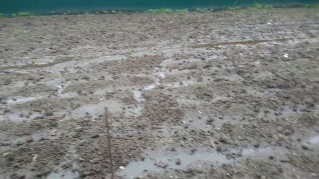 Залило дождем весь огород. 01.06.2020. смотреть онлайн