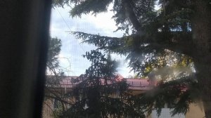 Ветер 20 м/с