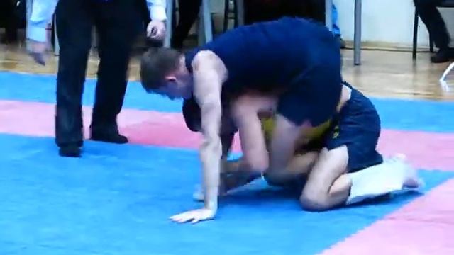 Чемпионат Европы по хортингу в г. Львове, Украина, 26-27 октября 2014 года смотреть онлайн