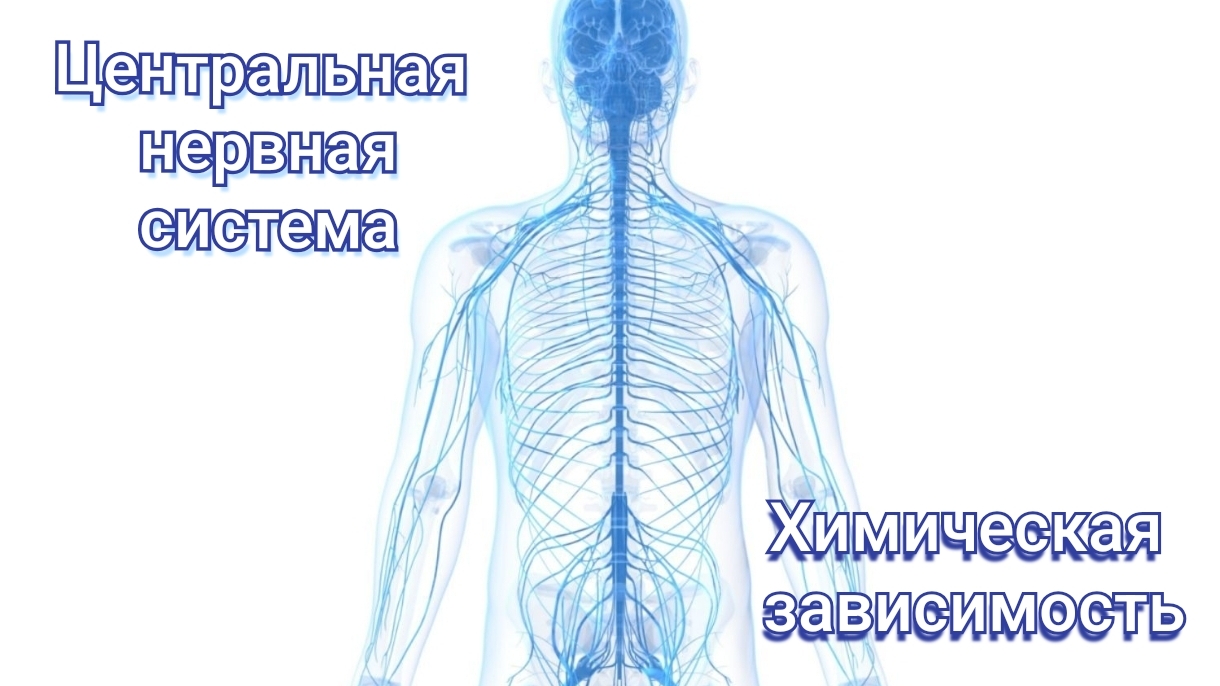 ЦНС химическая зависимость