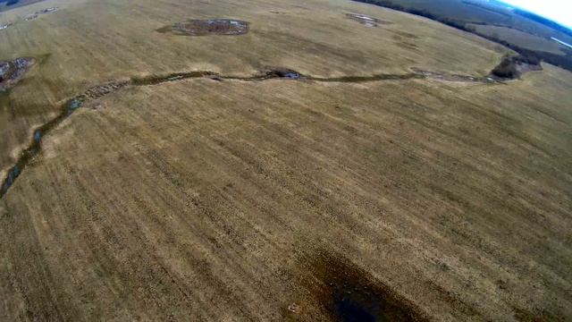 Гусиная присада с квадрокоптера. смотреть онлайн