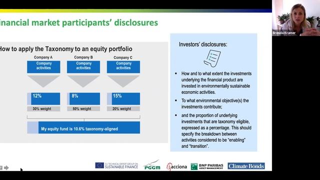 EU Taxonomy Explored: Talks with TEG Experts: Usability смотреть онлайн