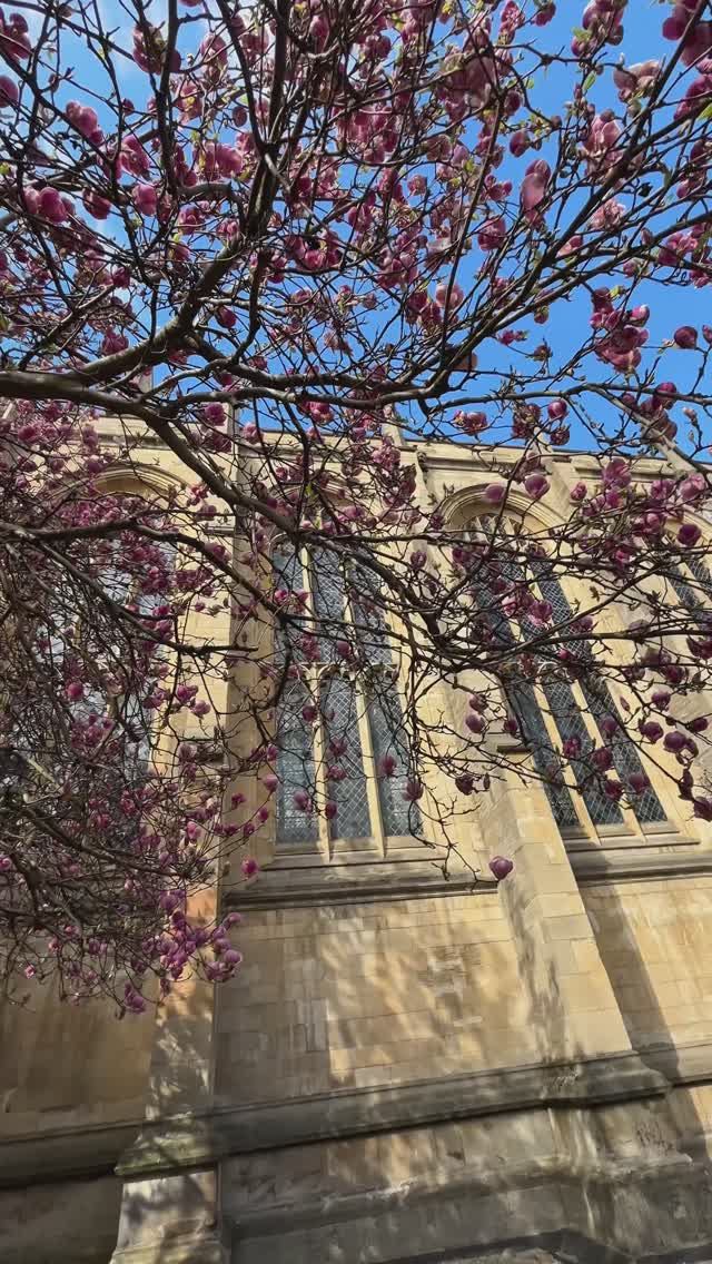 Сердце Оксфорда — не колледж, а церковь #церковь#оксфорд#историческийфакт смотреть онлайн