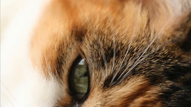 Vigen Gevorgyan-heqiat (drum mix).mp3 смотреть онлайн