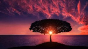 Освободившись после 5 лет заключения, Лена решила выяснить кто же ее подставил… | История о любви