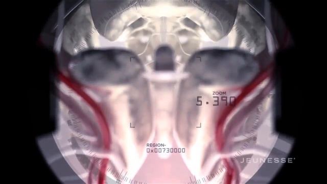 Jeunesse ZEN BODI коррекция веса смотреть онлайн