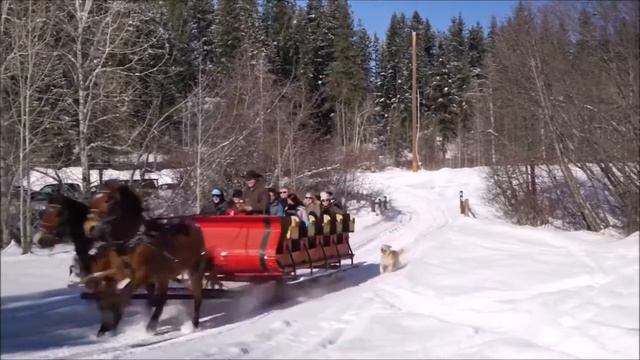Ну, привет, Утро Нового года смотреть онлайн