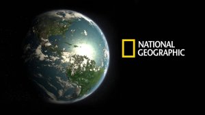 Когда акулы нападают | Чудеса океана | NAT Geo