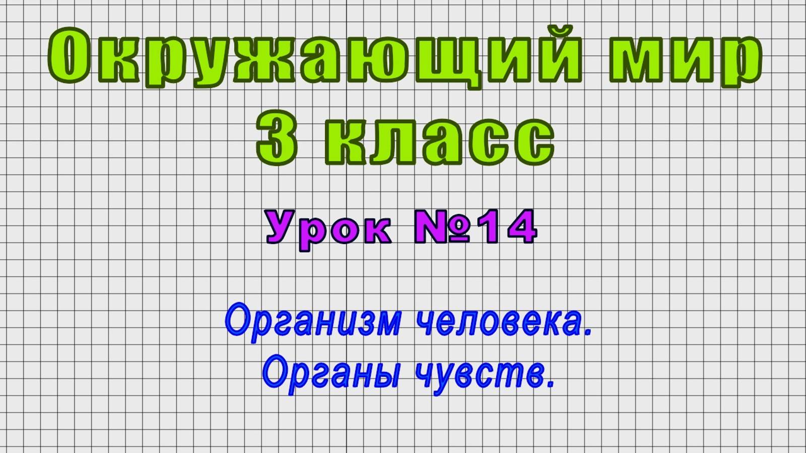 Окружающий мир 3 класс (Урок№14 - Организм человека. Органы чувств.) смотреть онлайн