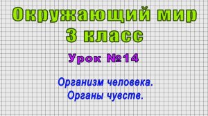 Окружающий мир 3 класс (Урок№14 - Организм человека. Органы чувств.)