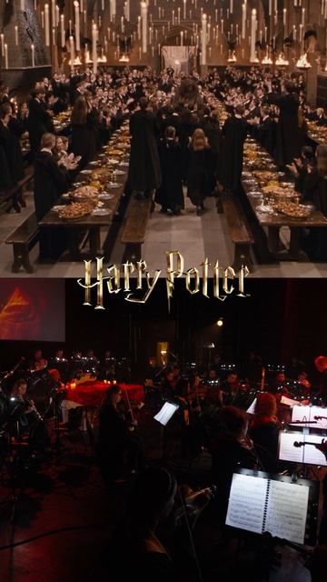 Гарри Поттер | Imperial Orchestra смотреть онлайн