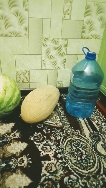 🍉 вода и 🍈 в теме...🫣🫣💣💥💯 смотреть онлайн