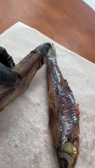 Чебак Колымский 🔥 #азбукасевера #чебак