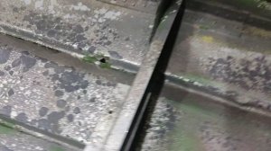 Заплатка на редан Казанка М