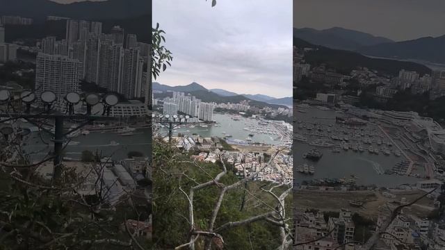 Парк олень повернул голову.