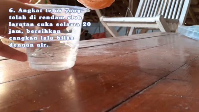 REAKSI REDOKS PADA CANGKANG TELUR DAN ASAM CUKA смотреть онлайн
