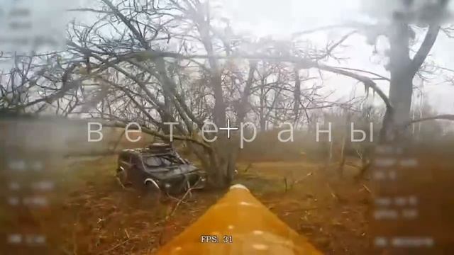 Мавизасады на хохлов смотреть онлайн