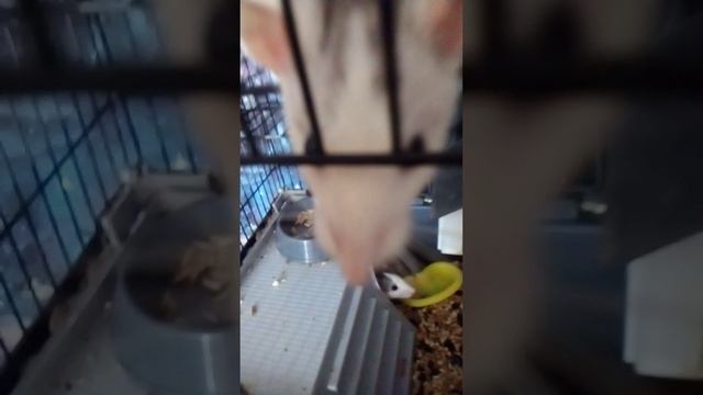 общение со мной😊 смотреть онлайн