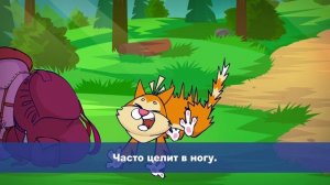 Осторожно, клещ!