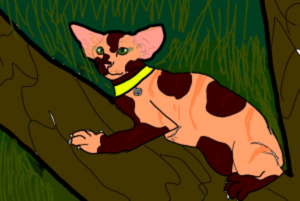 😝😜 смотреть онлайн