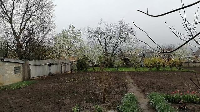 09-04-2025 Будет ли урожай