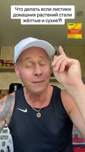 Что делать если листики домашних растений стали желтые и сухие?! #лайфхаки #советы #bobbygrant690 смотреть онлайн