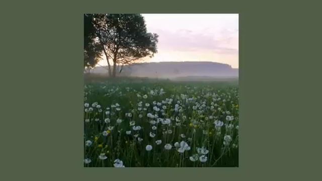 Плейлист с весенней атмосферой