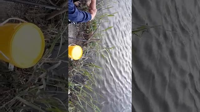 Газа апаратура