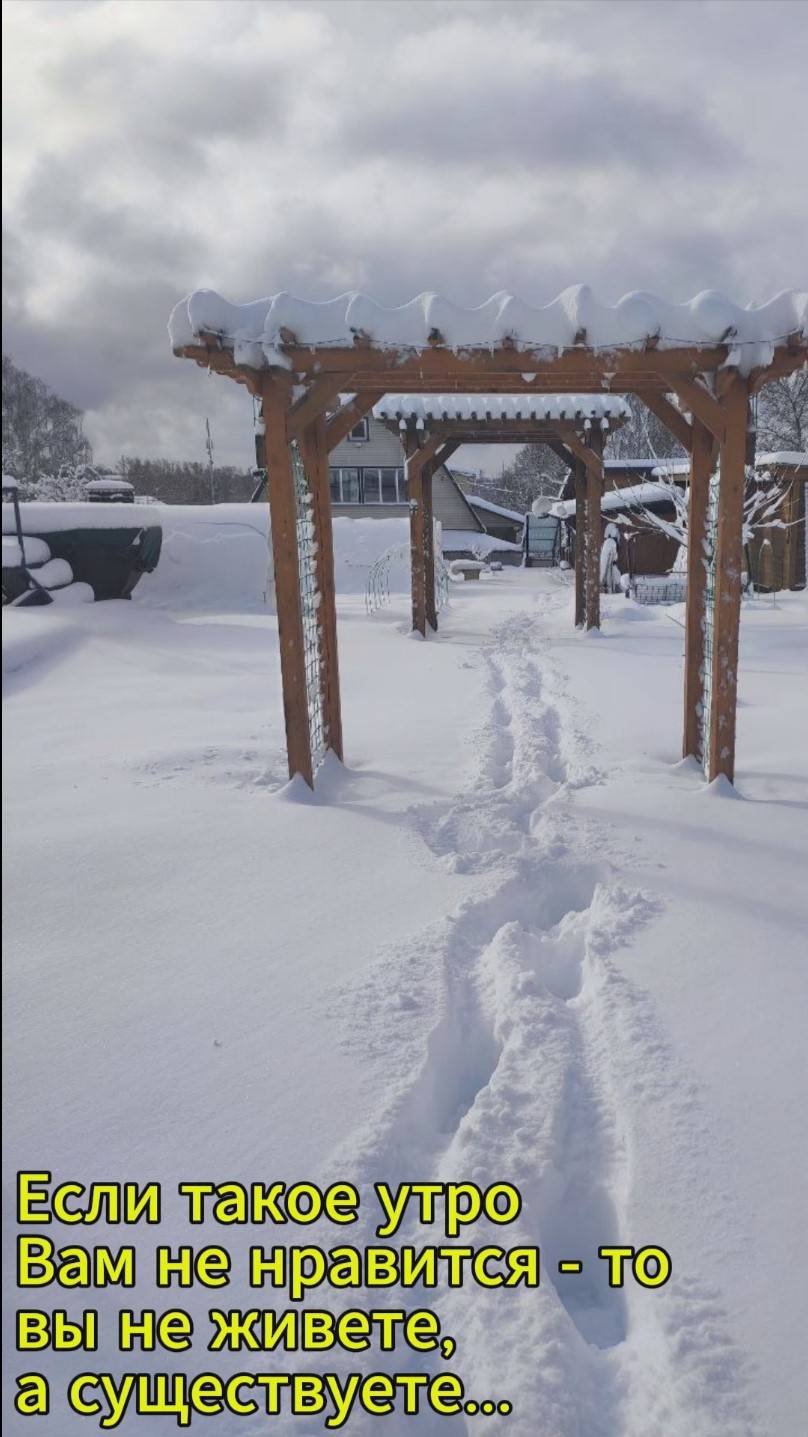 Утро 09.04.2025 во Владимирской области смотреть онлайн