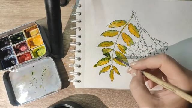 Урок 5 - Рисуем и общаемся в прямом эфире! смотреть онлайн