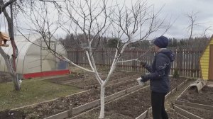 6 соток 5 апреля 2025 года. Хроника. Дорога к дому.