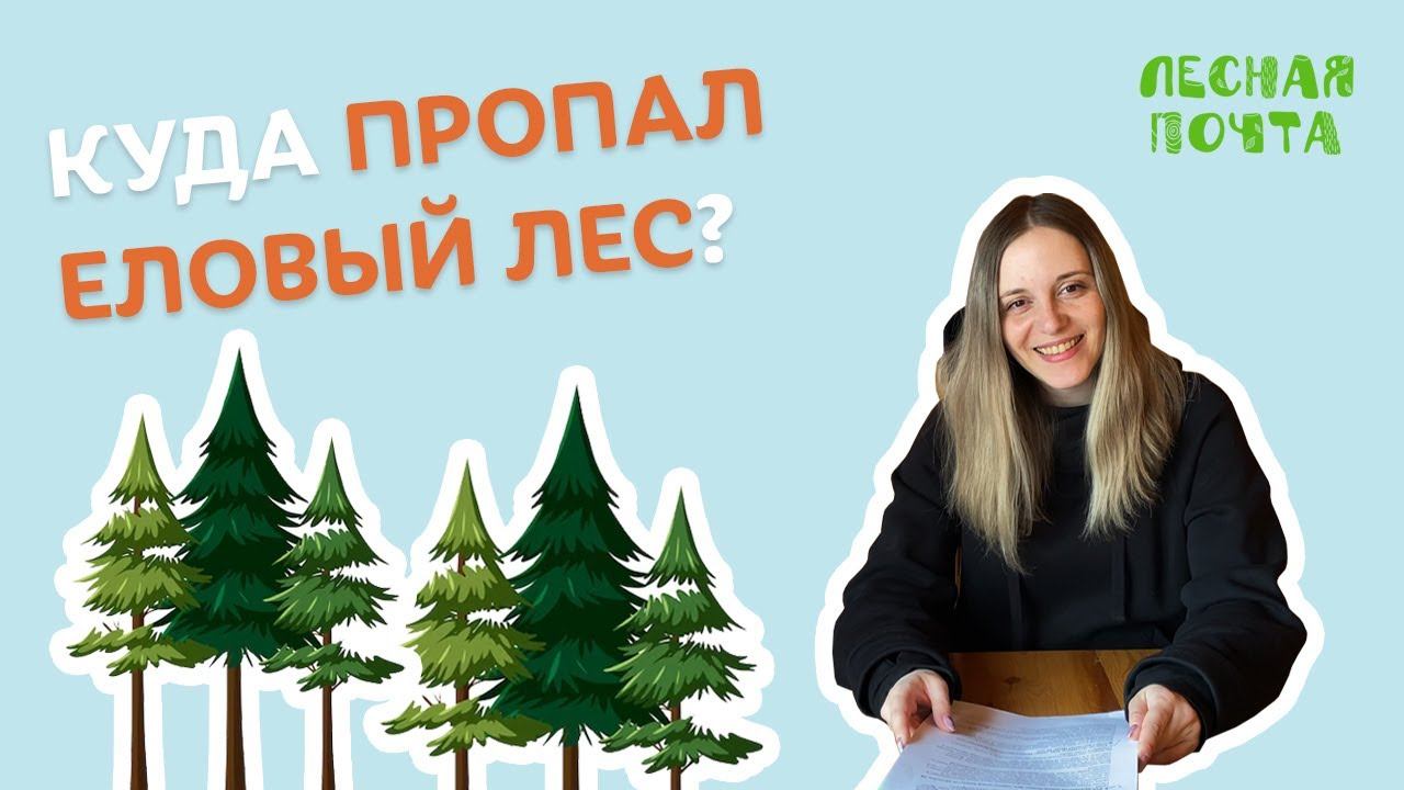 Куда пропал еловый лес в Хибинах? Лесная почта Лапландского заповедника смотреть онлайн