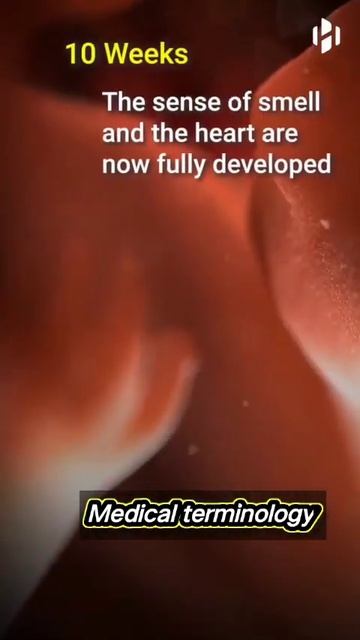 New born baby development #viralvideo #medical смотреть онлайн