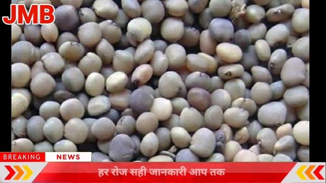 31 December 2023 Guar ka taza bhav,Guar rate today,guar ka aaj ka bhav,guar bhav,#guarkabhav смотреть онлайн