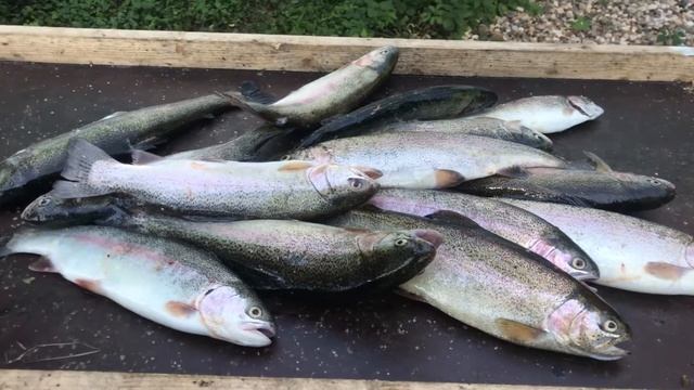 Вот такой улов))) рыбак отказался сниматься смотреть онлайн