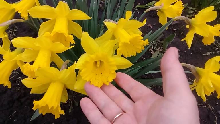 Жизнь в деревне. Выпуск за 09-04-2025. События дня смотреть онлайн