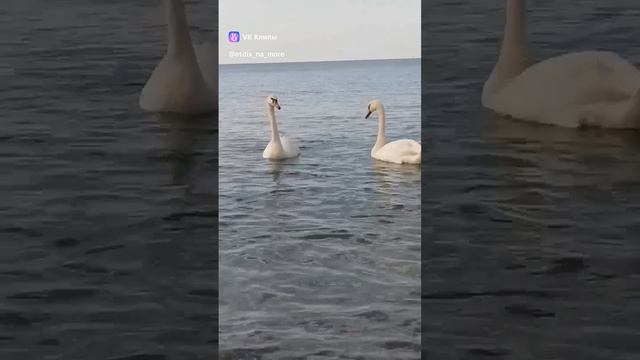 Гостевой дом Хутор, сентябрь 2024