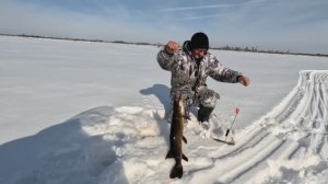 Наловил ЩУК. Таёжное ОЗЕРО. Второй день.