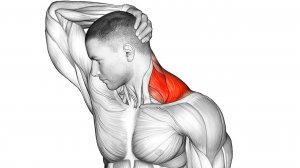 Растяжка Шеи для облегчения боли