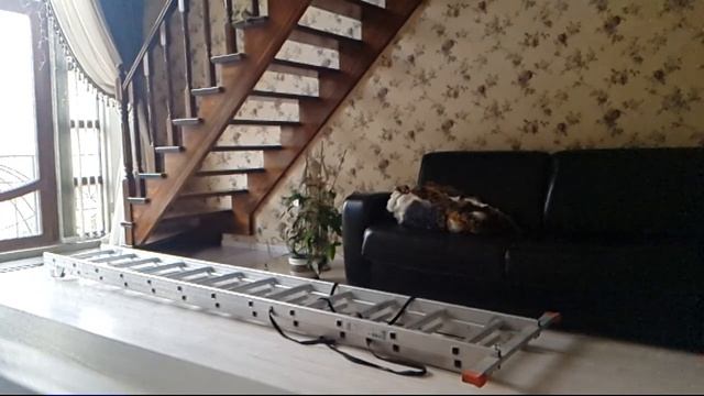 полтергейст дома смотреть онлайн